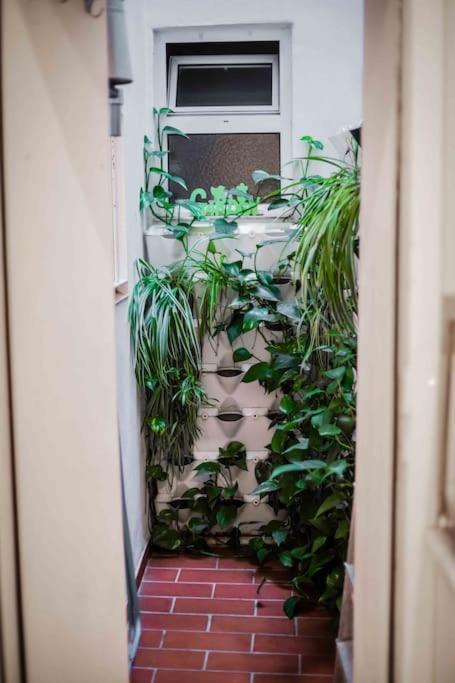 Apartament Imperial Center Seville New Management Since April Zewnętrze zdjęcie